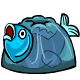 fish-jelly